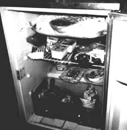 error-file:tidyout.log